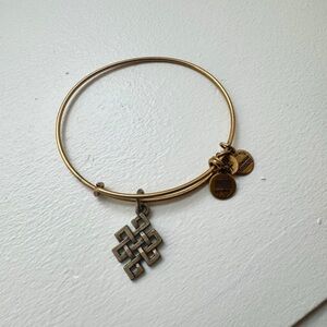 Alex and Ani Endless Knot Bracelet